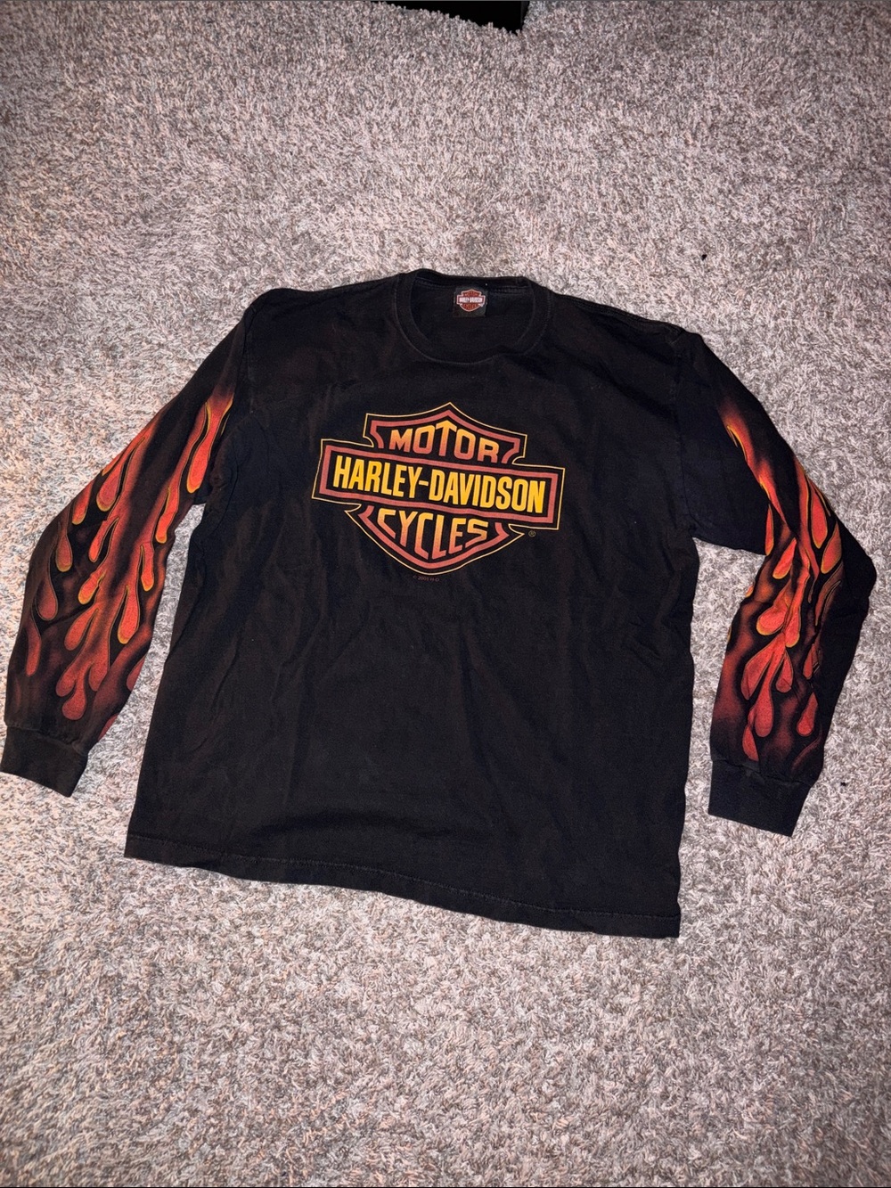 Harley-Davidson Black Long-Sleeve Tee with Orange and Red Flame Sleeves